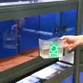 JBL Fischfangbecher Fangbecher Zierfische Aquarium Fangbehälter zum einhängen