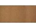 Korkplatte natur 100 x 50 x 0,6 cm