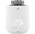 EUROtronic Heizkörperthermostat Eurotronic 700255 Comet Zero Matter Heizkörperthermostat smart elektro