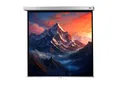 celexon Leinwand Rollo Professional Plus 120 x 120 cm - 67"