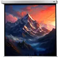Celexon Manual Professional Plus Square format - Leinwand - Deckenmontage möglich, geeig (66.93", 1:1) (1090774)