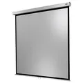 celexon Rolloleinwand Professional Plus 1:1, 120 x 120 cm Projektionsfläche