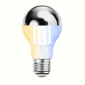 ledscom.de E27 LED Leuchtmittel, A60, warmweiß - kaltweiß (2700-7000 K), 4,8 W, 486lm, Smart Home, WLAN, Alexa, Kopfspiegel (silber)