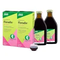 FLORADIX mit Eisen Lösung zum Einnehmen 2x700 ml