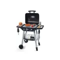Barbecue Kindergrill