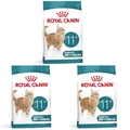 ROYAL CANIN AGEING 11+ | 3er Pack | 3 x 400 g | Trockennahrung für Senior Katzen ab dem 11. Lebensjahr | Formel mit dem HealthyAge7™ Complex | Enthält leicht zu kauende Kroketten