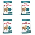 ROYAL CANIN AGEING 11+ | 4er Pack | 4 x 400 g | Trockennahrung für Senior Katzen ab dem 11. Lebensjahr | Formel mit dem HealthyAge7™ Complex | Enthält leicht zu kauende Kroketten