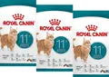 3 x 400 g Royal Canin Senior Ageing 11+ (€ 21,63/kg) Trockenfutter ältere Katzen