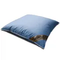 Kissen mit 100% neuen weißen Gänsefedern in 80x80 cm Federkissen blau Kopfkissen