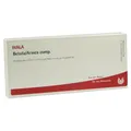 Betula/arnica Comp.ampullen 10X1 ml
