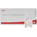 WALA® BETULA/ARNICA Comp. Ampullen