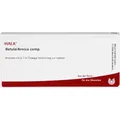 WALA Betula/Arnica comp. flüssige Verdünnung, 10 St. Ampullen