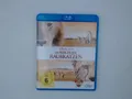 Im Reich der Raubkatzen [Blu-ray] Fothergill, Alastair und Keith Scholey: