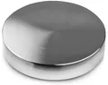 Pro-Ject Schallplattengewicht Pro-Ject Record Puck PRO