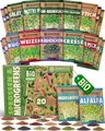 ®  Bio Sprossensamen im 20er Set  Keimsprossensamen  leichte Zucht im Sprosse...