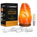 LANDSTER Salzlampe Salzkristall Lampe Tischlampe Natürliche Rosa Salz Nachtischlampe aus Salt Range Pakistan mit Holzsockel (4-7 KG)