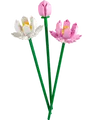 LEGO Lotusblumen (40647) #19972181