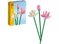 40647 LOTUSBLUMEN