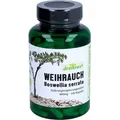 Weihrauch-Extrakt - Boswellia Serrata 65% 400mg, 140 St KAP