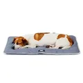 FERPLAST - Tappetino per Cani e Gatti - Cuccia per Cani Lavabile Piccola - Materassino per Cani - Impermeabile e Antigraffio - Tappetino per Auto, Cucce e Cestini per Cani - Jolly, 65 x 48 CM, GRIGIO