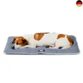 Ferplast Hundematte & Katzenmatte Klein - Waschbares Hundebett - Hundekissen -