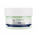Aloe The Body Shop