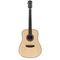 Duke Guitars D-PF - Westerngitarre
