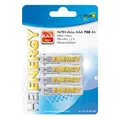 HEITECH 4er Pack NIMH-Akku, Micro/AAA / HR03 700 mAh Wiederaufladbare Batterie mit geringer Selbstentladung - Akku für Geräte mit hohem Stromverbrauch