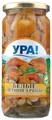 Eingelegte Pilze - Marinierte Pilze / Reisstrohpilze - YRA! 500ml