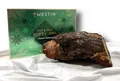 Westin 2025 Put & Take Soft Bait Advent Calendar Adventskalender Forelle SALE
