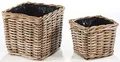 Kobolo Pflanzkorb Pflanzschale aus Rattan mit Folie in kubu Grey grau im 2er Set