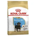Royal Canin Rottweiler 31 Junior 12 kg, 1er Pack (1 x 12 kg)