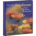 Urachhaus Heilpflanzen (Markus Sommer, Deutsch) (9227185)