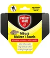 PROTECT HOME Mäuse Köderbox für Mäusegift, sichere Ausbringung von Mäuseködern, 1 Stück