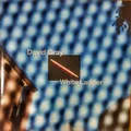 DAVID GRAY - WHITE LADDER REMASTERED - Vinyl Record VL - E600z
