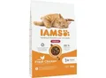 IAMS Advanced Nutrition Trockenfutter Katze, Adult ab 1 Jahr, Indoor, Huhn 10 kg