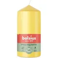 Bolsius: Stumpenkerze 120/58mm - Sonnengelb (6 Stück)