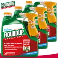 Roundup Unkrautfrei 3 x 3 l Express Sprühsystem Vorteilspackung Brennnessel