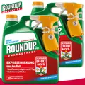 Roundup Unkrautfrei 2 x 3 l Express Sprühsystem Vorteilspackung Brennnessel