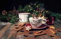 Seltmann Weiden Life Christmas Kombiservice 30-teilig