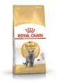 Royal Canin British Shorthair Adult Trockenfutter, 400 g
