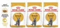 ROYAL CANIN British Shorthair Katzenfutter trocken für Britisch Kurzhaar 3x400 g