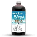 ICE Bär Sirup AZO und Glycerin Frei | 500 ml Flasche | Konzentrat für Slushy ...