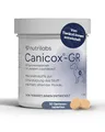 NutriLabs Canicox®-GR Tabletten für Senioren-Hunde 50 STK. - Seniorentabletten für Hunde mit MSM, Chondroitin, Glucosamin, Ginseng, Weißdorn u.v.m. - Gesundheitsprodukte für Hunde