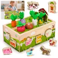 Montessori Spielzeug ab 1 2 Jahr: Kinderspielzeug ab 1 Jahre Motorik Holzspielzeug für 1 2 3 jährige Jungen Mädche Geburtstag Geschenke für 12-18 Monate Pädagogisches Farmspiel Karotten Steckspiel