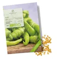 BIO Chili Samen (Sigaretta di Bergamo) - biol. Anbau (1.500 Scoville, 10 Korn)