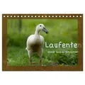 Laufenten immer was zu Schnattern (Tischkalender 2026 DIN A5 quer) CALVENDO Monatskalender von Angela Münzel-Hashish - www.tierphotografie.com/ Calven
