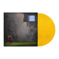 Raye - This Music May Contain Hope CD