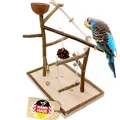 Vogelspielplatz  Wellensittich Nymphensittich Spielplatz für Vögel Freiflug