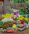 BALDUR Garten Großer Staudengarten,24 Pflanzen